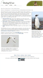 Mobile Screenshot of birdingnz.net